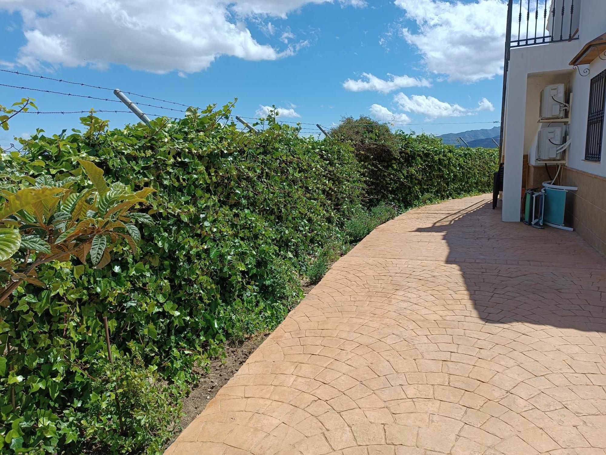 Casa Rural La Revuelta Con Las Mejores Vistas A La Naturaleza Yunquera Exterior foto
